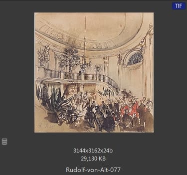 鲁道夫·里特尔·冯·奥特（rudolf ritter von alt）