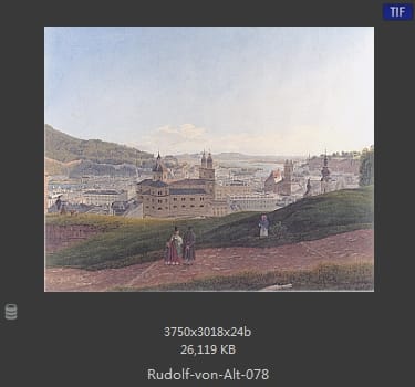 鲁道夫·里特尔·冯·奥特（rudolf ritter von alt）