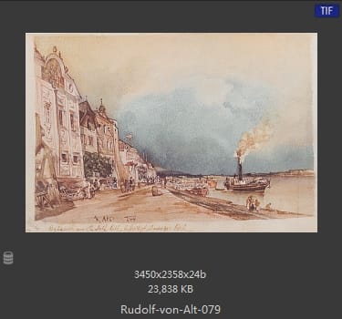 鲁道夫·里特尔·冯·奥特（rudolf ritter von alt）