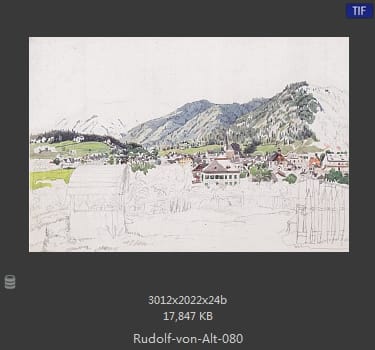 鲁道夫·里特尔·冯·奥特（rudolf ritter von alt）