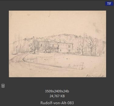鲁道夫·里特尔·冯·奥特（rudolf ritter von alt）