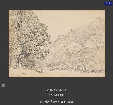 鲁道夫·里特尔·冯·奥特（rudolf ritter von alt）