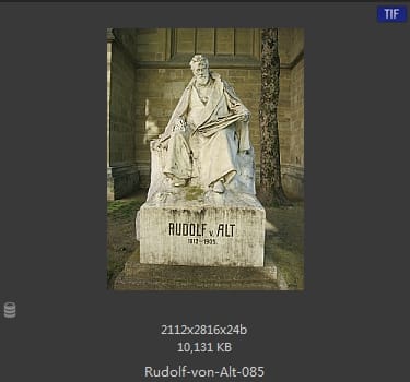 鲁道夫·里特尔·冯·奥特（rudolf ritter von alt）