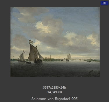 所罗门.范.雷斯达尔Salomon van Ruysdael