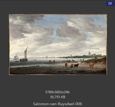 所罗门.范.雷斯达尔Salomon van Ruysdael