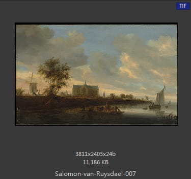 所罗门.范.雷斯达尔Salomon van Ruysdael