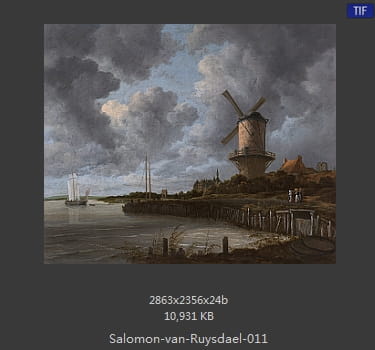 所罗门.范.雷斯达尔Salomon van Ruysdael