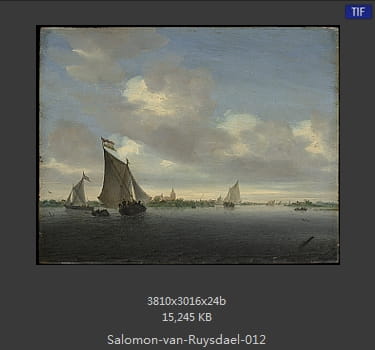 所罗门.范.雷斯达尔Salomon van Ruysdael
