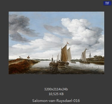 所罗门.范.雷斯达尔Salomon van Ruysdael