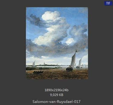 所罗门.范.雷斯达尔Salomon van Ruysdael