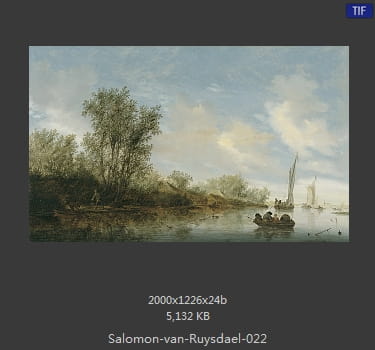 所罗门.范.雷斯达尔Salomon van Ruysdael