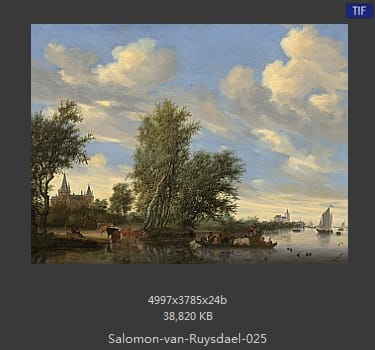 所罗门.范.雷斯达尔Salomon van Ruysdael
