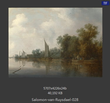 所罗门.范.雷斯达尔Salomon van Ruysdael