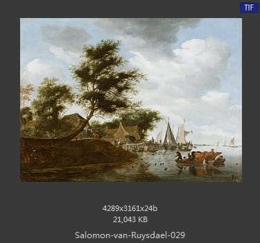 所罗门.范.雷斯达尔Salomon van Ruysdael