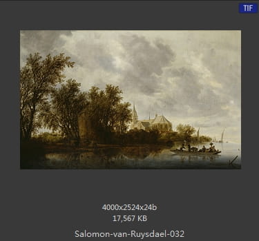 所罗门.范.雷斯达尔Salomon van Ruysdael