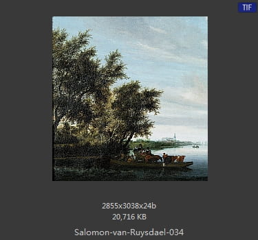 所罗门.范.雷斯达尔Salomon van Ruysdael