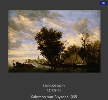所罗门.范.雷斯达尔Salomon van Ruysdael