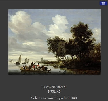 所罗门.范.雷斯达尔Salomon van Ruysdael