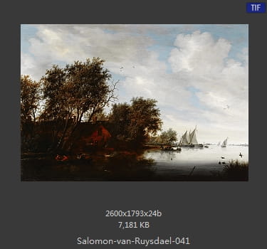 所罗门.范.雷斯达尔Salomon van Ruysdael