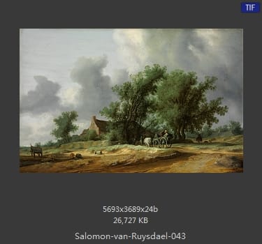 所罗门.范.雷斯达尔Salomon van Ruysdael