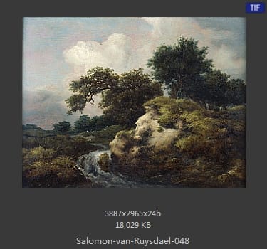 所罗门.范.雷斯达尔Salomon van Ruysdael