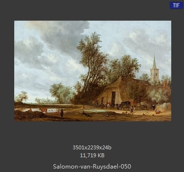 所罗门.范.雷斯达尔Salomon van Ruysdael