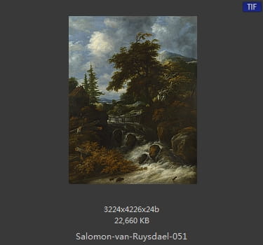 所罗门.范.雷斯达尔Salomon van Ruysdael