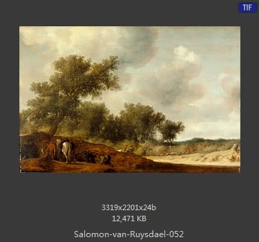 所罗门.范.雷斯达尔Salomon van Ruysdael