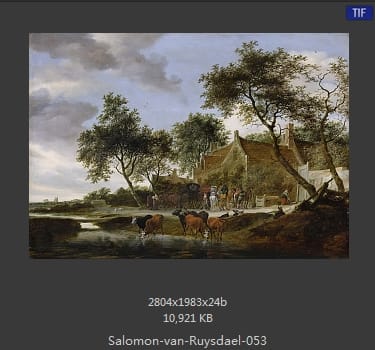 所罗门.范.雷斯达尔Salomon van Ruysdael