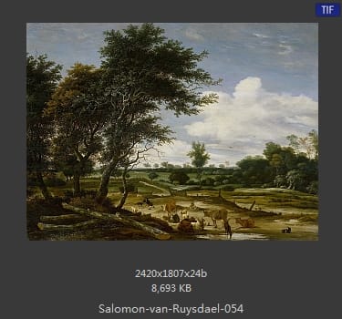 所罗门.范.雷斯达尔Salomon van Ruysdael