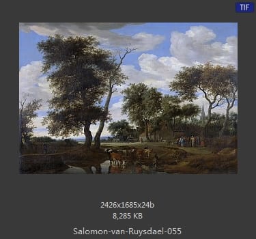 所罗门.范.雷斯达尔Salomon van Ruysdael