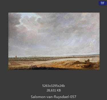 所罗门.范.雷斯达尔Salomon van Ruysdael