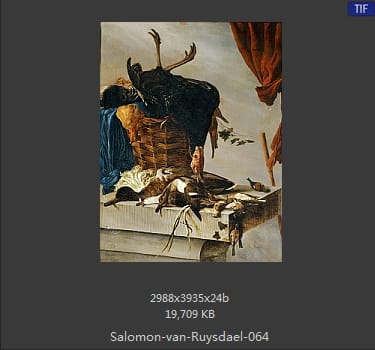 所罗门.范.雷斯达尔Salomon van Ruysdael