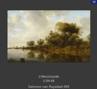 所罗门.范.雷斯达尔Salomon van Ruysdael