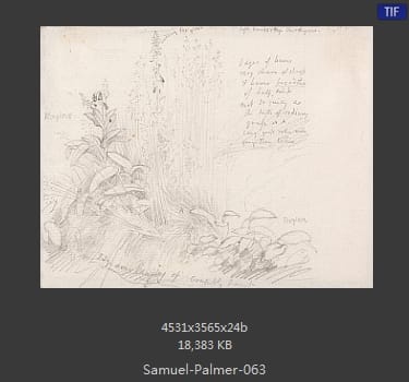 【英国】塞缪尔·帕尔默(Samuel Palmer)