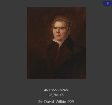 大卫 威尔基 Sir David Wilkie 