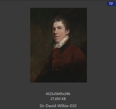 大卫 威尔基 Sir David Wilkie 