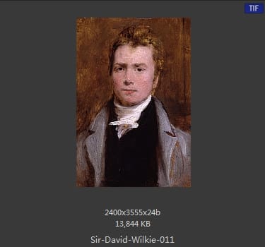 大卫 威尔基 Sir David Wilkie 
