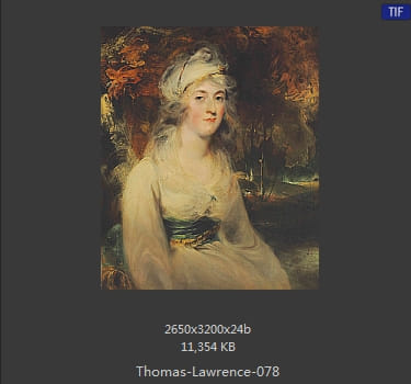 托马斯·劳伦斯 Sir Thomas Lawrence