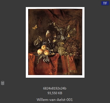 【荷兰】威廉·范·阿里斯特（Willem van Aelst）