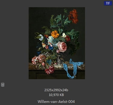 【荷兰】威廉·范·阿里斯特（Willem van Aelst）