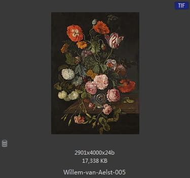 【荷兰】威廉·范·阿里斯特（Willem van Aelst）