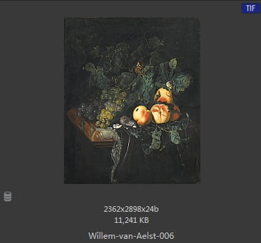【荷兰】威廉·范·阿里斯特（Willem van Aelst）