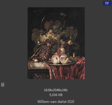 【荷兰】威廉·范·阿里斯特（Willem van Aelst）