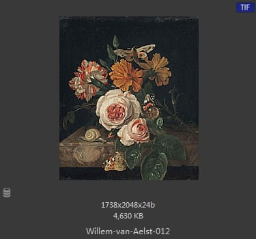 【荷兰】威廉·范·阿里斯特（Willem van Aelst）