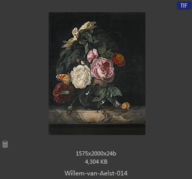 【荷兰】威廉·范·阿里斯特（Willem van Aelst）