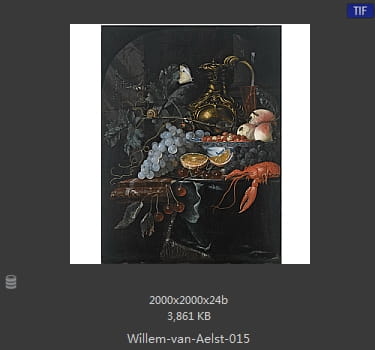 【荷兰】威廉·范·阿里斯特（Willem van Aelst）