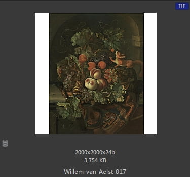 【荷兰】威廉·范·阿里斯特（Willem van Aelst）