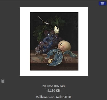 【荷兰】威廉·范·阿里斯特（Willem van Aelst）