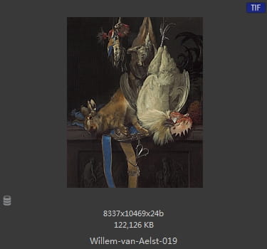 【荷兰】威廉·范·阿里斯特（Willem van Aelst）